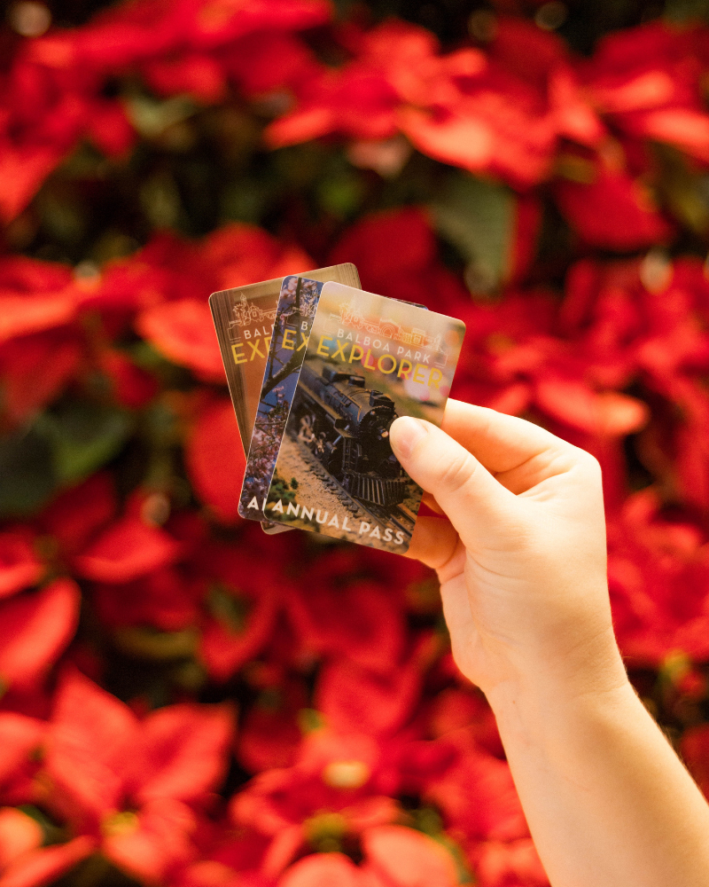 Balboa Park Explorer Annual Pass