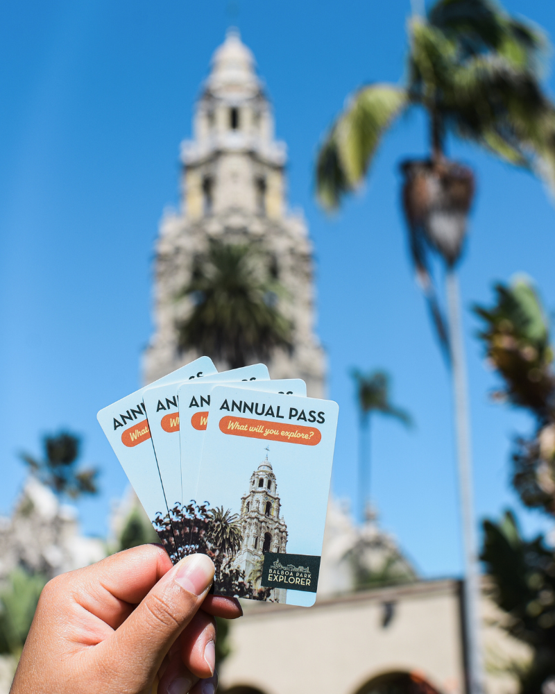 Balboa Park Explorer Annual Passes
