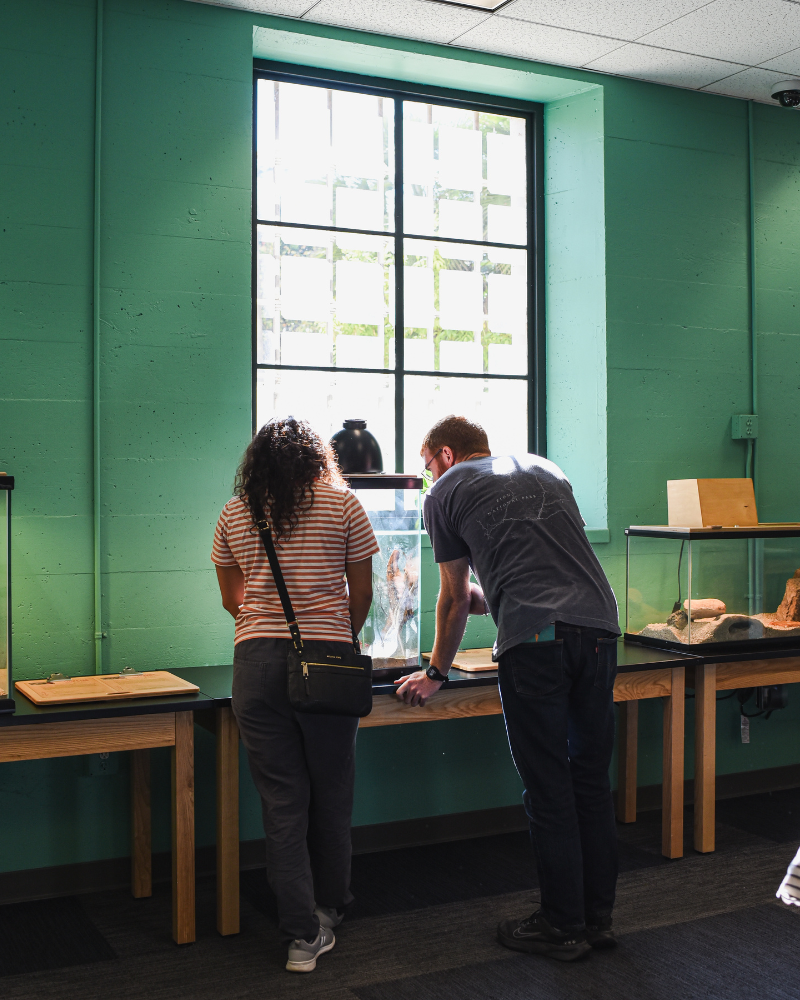 Living Lab at San Diego Natural History Museum