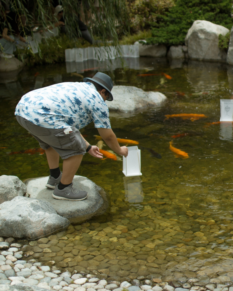 Toro Nagashi Festival at Japanese Friendship Garden & Museum
