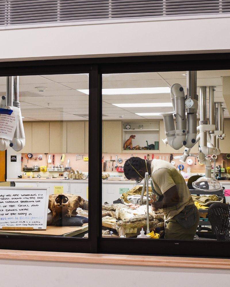 Paleontology Lab at San Diego Natural History Museum